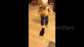 Girl Laughs At Kitten