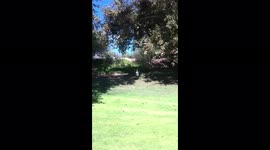 Running Down That Hill