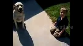 Boy Thinks He's a Dog