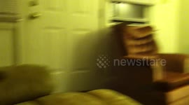 Dog Growls at Balloon