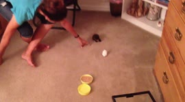 Duckling Follows Girl