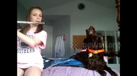 Flute and Dog Duet