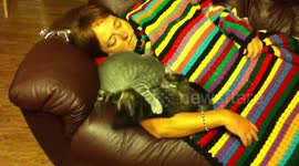 Kittens Groom Each Other