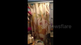 Singing Shower Girl