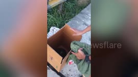 Kind passerby rescues puppy dumped on busy highway in the Philippines