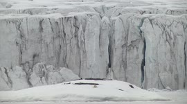 Mountain of ice collapses near polar bears in Longyearbyen, Norway