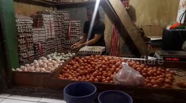 Expensive! Price of Translucent Chicken Eggs 32 thousand/Kg