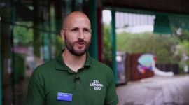 RAW VIDEO: Weigh-To-Go! ZSL London Zoo Hold Annual Animal Weigh-In 2/3