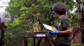 RAW VIDEO: Weigh-To-Go! ZSL London Zoo Hold Annual Animal Weigh-In 3/3