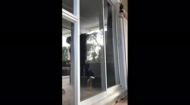 First time using a Karcher WV6 Plus.to clean my windows and so impressed.