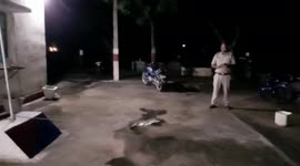 Crocodile strays inside police outpost in central India, rescued