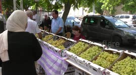 Palestinians attend the annual grape marketing festival in the West Bank of Jenin