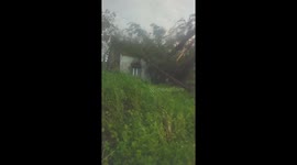 Strong winds from Tropical storm Ma on caused hundreds of trees to be broken