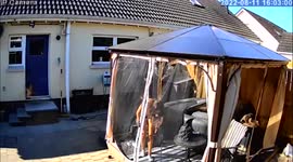 Hero dog alerts owner after companion almost drowns in hot tub - saving the pooch's life