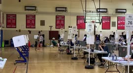 Primary Election New York 2022