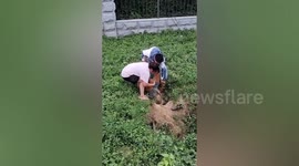 Passersby rescue elderly man after he fell headfirst into hole in China