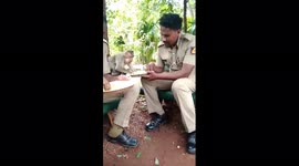 Funny moment policeman and hungry monkey share meal