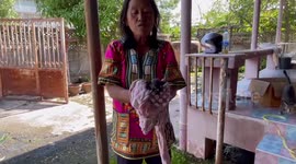Hero policeman climbs into filthy basement to rescue stranded newborn kitten