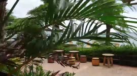 Japan: Winds Pick Up In Okinawa As Typhoon Hinnamnor Approaches 3