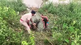 Indian officials use crane to rescue buffalo stuck in deep canal