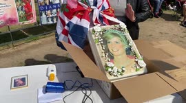 Royal supefan displays a tribute cake on the 25th anniversary of Princess Diana’s death