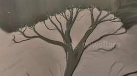 Poyang Lake Drought In Nanchang, China