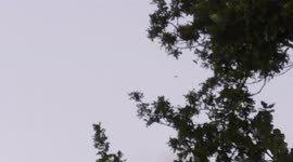 A mysterouse flying disc scene in the sky over Epping Forest near the A406 Motorway