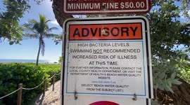 High bacteria counts shut down several beaches in Palm Beach County, Florida