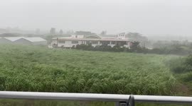 Japan: Winds Pick Up In Okinawa As Typhoon Hinnamnor Approaches 4