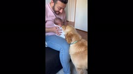 Heartwarming moment dog welcomes baby brother home