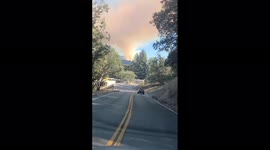 Huge plume of smoke as fire breaks out Willits, Northern California