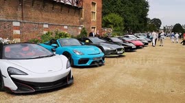 A adorable family of Swans decided to join the Salon Prove Concours D'Elegance car show held at Hampton Court Palace