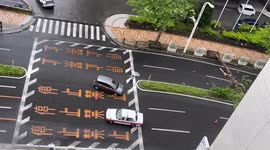 Japan: Typhoon Hinnamnor With Powerful Winds Knocks Down Trees In Okinawa