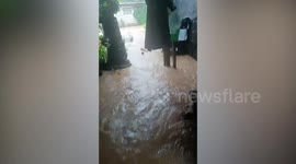 Raging floods gush through homes as Typhoon Hinnamnor hits the Philippines