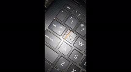 Creepy unidentified insect appeared inside a house in Sambalpur Odisha on laptop .