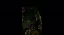 Thunderstorm in Mansfield at 2 am