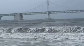 Busan on highest emergency alert as strongest ever typhoon set to hit