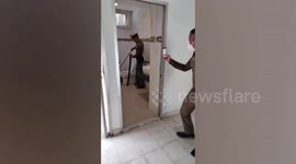 Cops catch wild monitor lizard hiding inside station toilet in Thailand