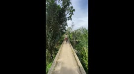 Dare to cross this bridge? Motorcyclists ride narrow crossing over waterfall in Indonesia