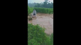Floods destroy dozens of hectares of rice fields in Vietnam