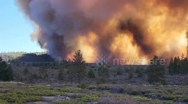Mill Fire in Siskiyou County heading toward the Community of Lake Shastina