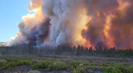 Mill Fire in Siskiyou County heading toward the Community of Lake Shastina