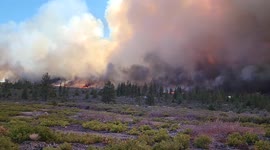Mill Fire in Siskiyou County heading toward the Community of Lake Shastina