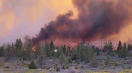 Mill Fire in Siskiyou County heading toward the Community of Lake Shastina