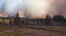 Mill Fire in Siskiyou County heading toward the Community of Lake Shastina