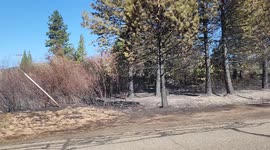 Mill Fire in Weed Ca. with homes burned in the Lincoln Heights area