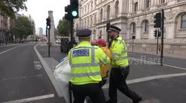 Protester fails to crash Boris Johnson convoy outside Downing Street and is bundled away by police