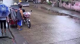 Harrowing moment horse collapses while pulling cart for tourists in the Philippines