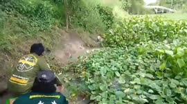 Animal rescuers use boat to save lost pet Labrador in water lily pond