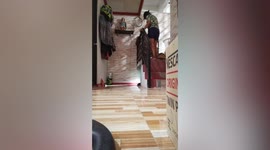 Vengeful rat chases after homeowners trying to catch it